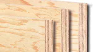 CDX Pine Plywood