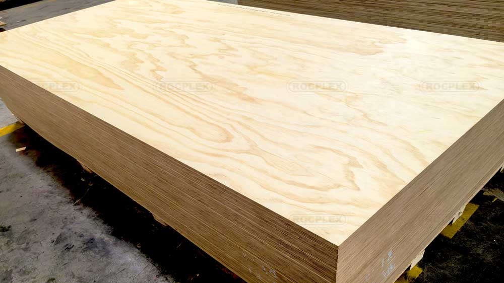 CDX Pine Plywood